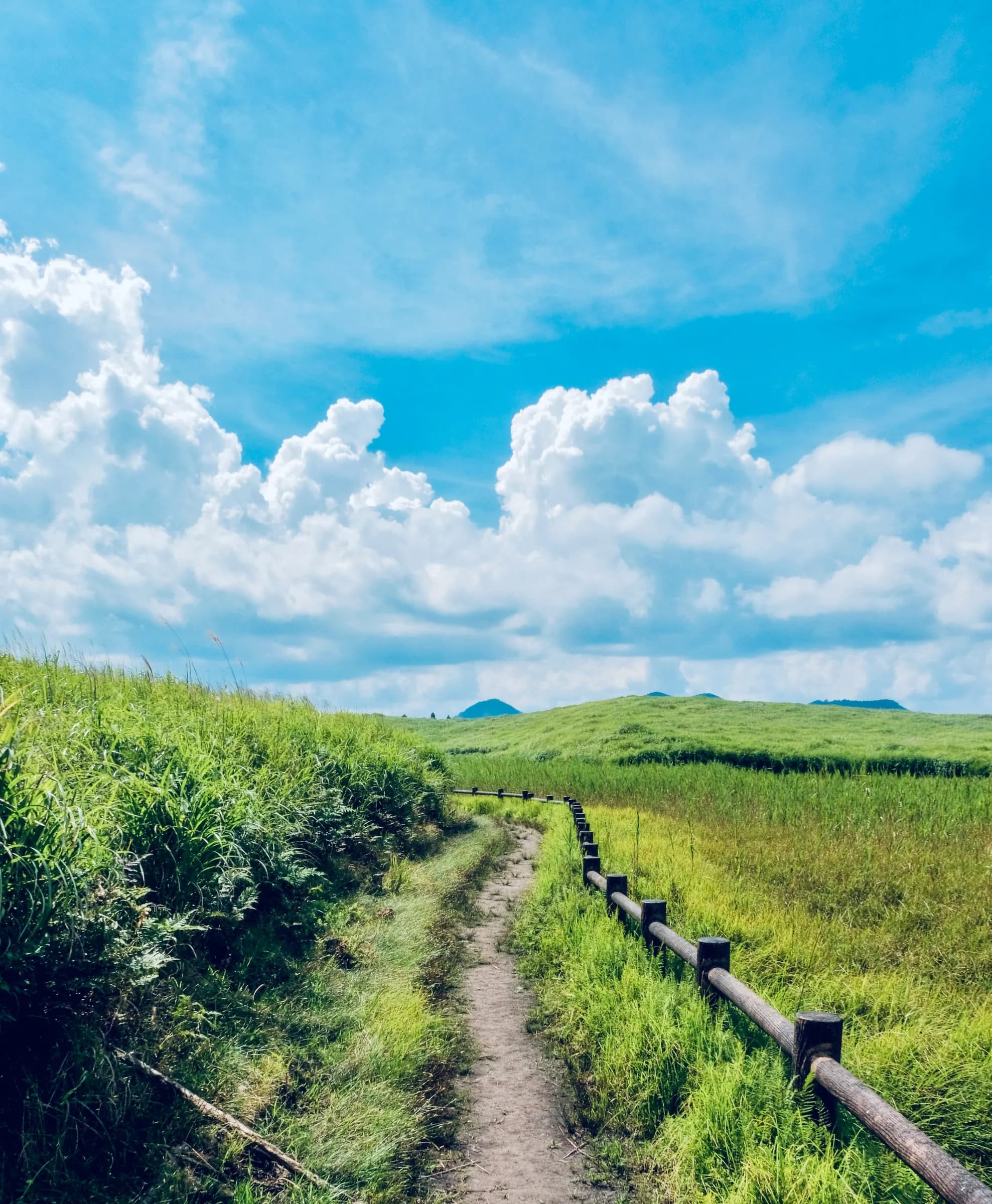 A winding pathway through lush green fields under a bright blue sky